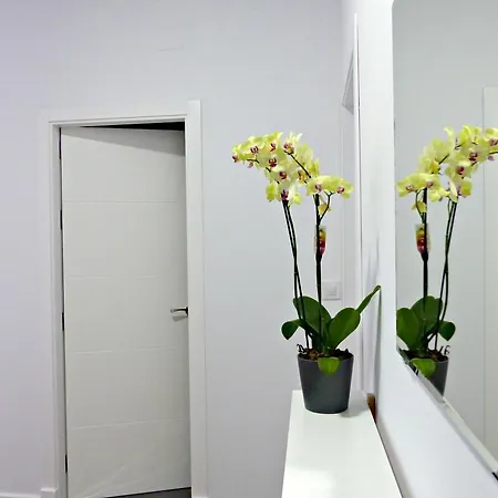 Too Many Aparts Apartment